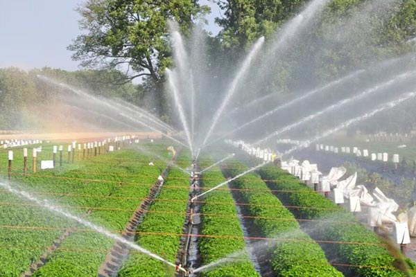 Agriculture-&-Drip-Irrigation